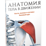 Анатомия тела в движении