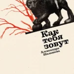 Как тебя зовут