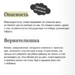 Демонология Сангомара. Искра войны