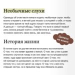 Волшебный магазин токкэби