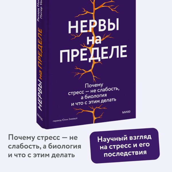 Нервы на пределе. Почему стресс — не слабость, а биология, и что с этим делать