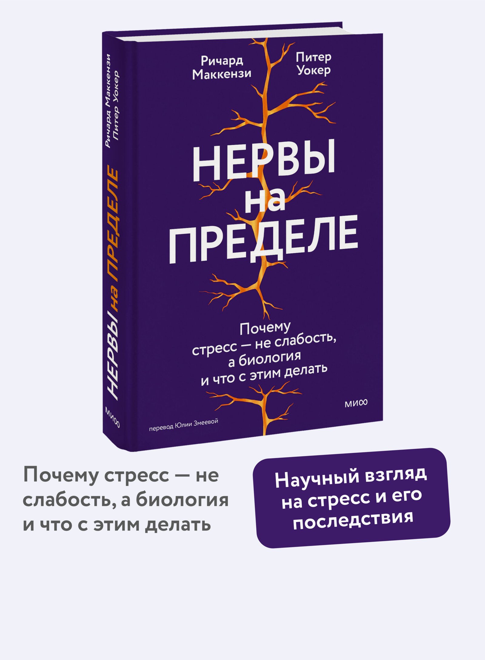 Нервы на пределе. Почему стресс — не слабость, а биология, и что с этим делать Нервы на пределе. Почему стресс — не слабость, а биология, и что с этим делать