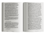 Эпоха зрелища. Приключения архитектуры и город XXI века