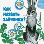 Как назвать зайчонка?
