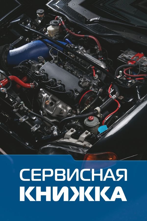Сервисная книжка (на проволоке) Сервисная книжка (на проволоке)