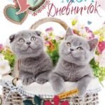 Котята в корзинке. Дневничок
